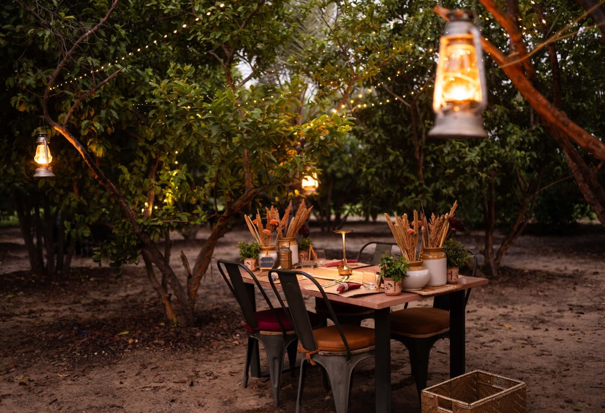 Nestled In Rajasthan’s Arid Plains, Mharo Khet’s Plant-Forward Dining Comes Alive