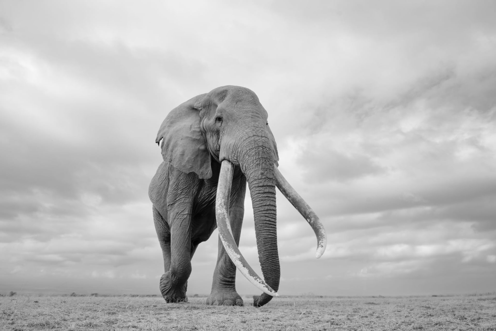 #TH Photo Series: In Conversation With Andrew Macdonald On A Photographic Safari In Amboseli National Park