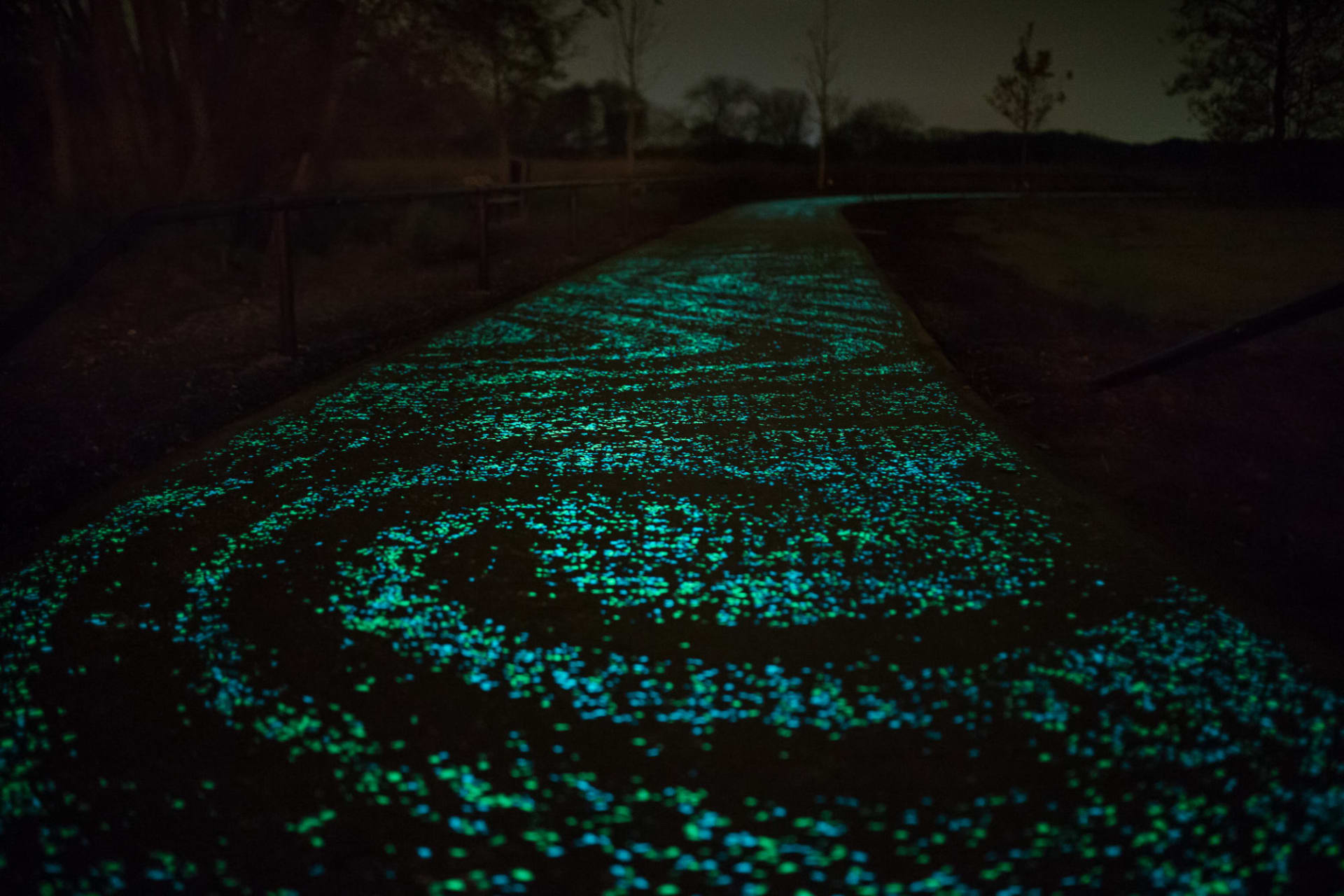 Biking Through Van Gogh’s Starry Night Under The Dutch Skies