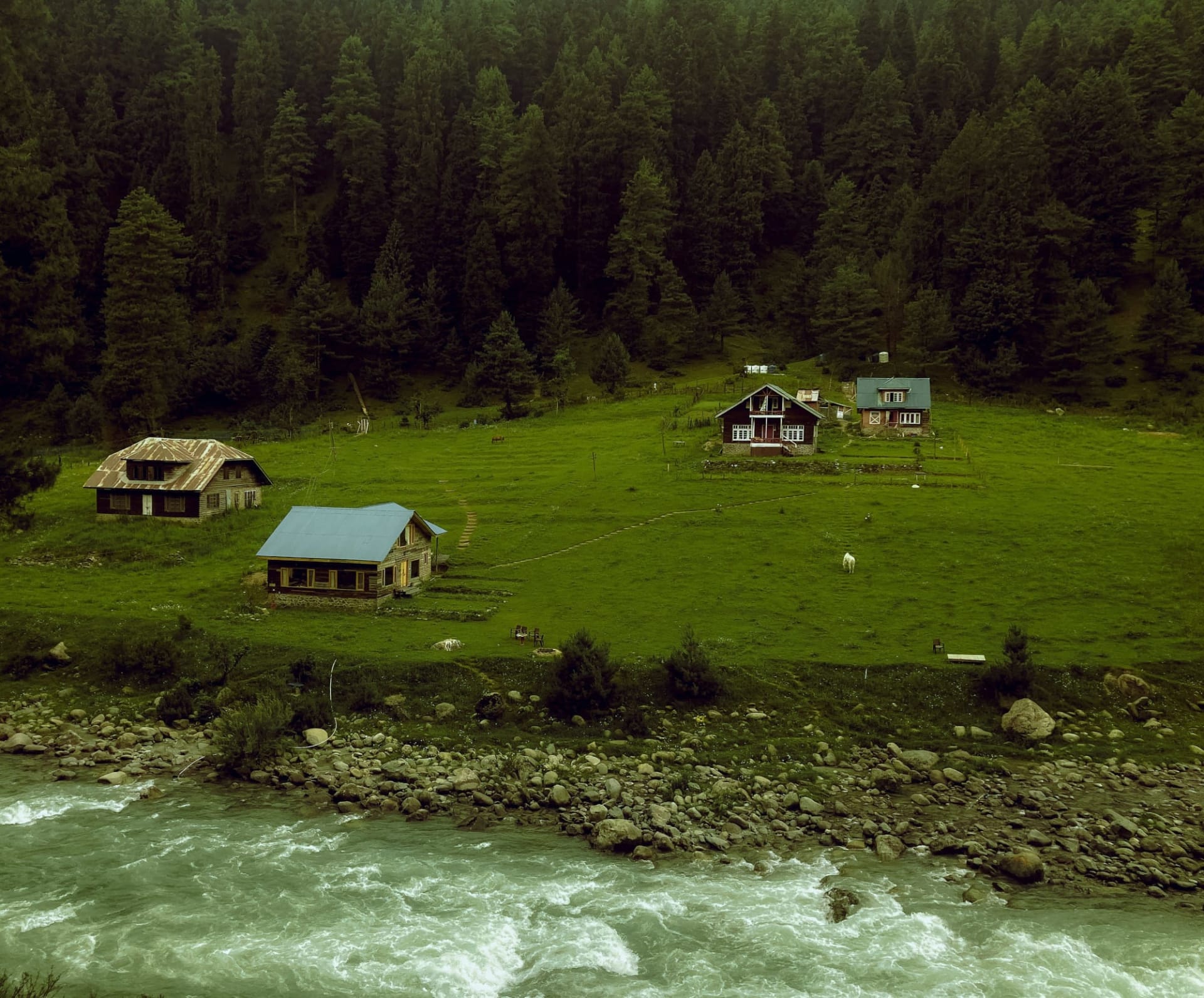I Travelled 770 Kms To Share A Meal With A Nomad Family: Pahalgam's Best-Kept Secret Isn't What You Think