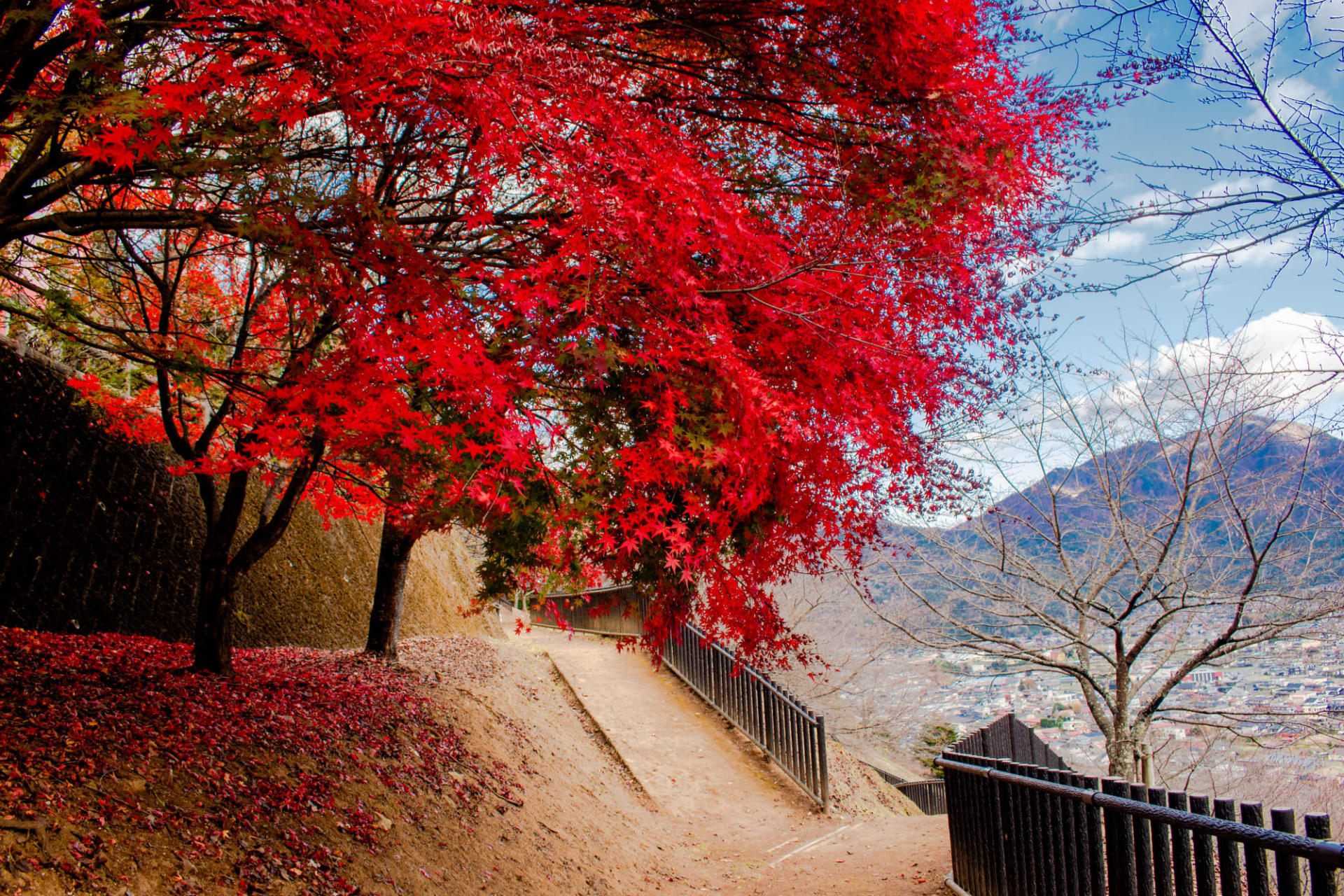 Mind the Queue: What A Three-Week Solo Trip In Japan Taught Me About Design And Restraint