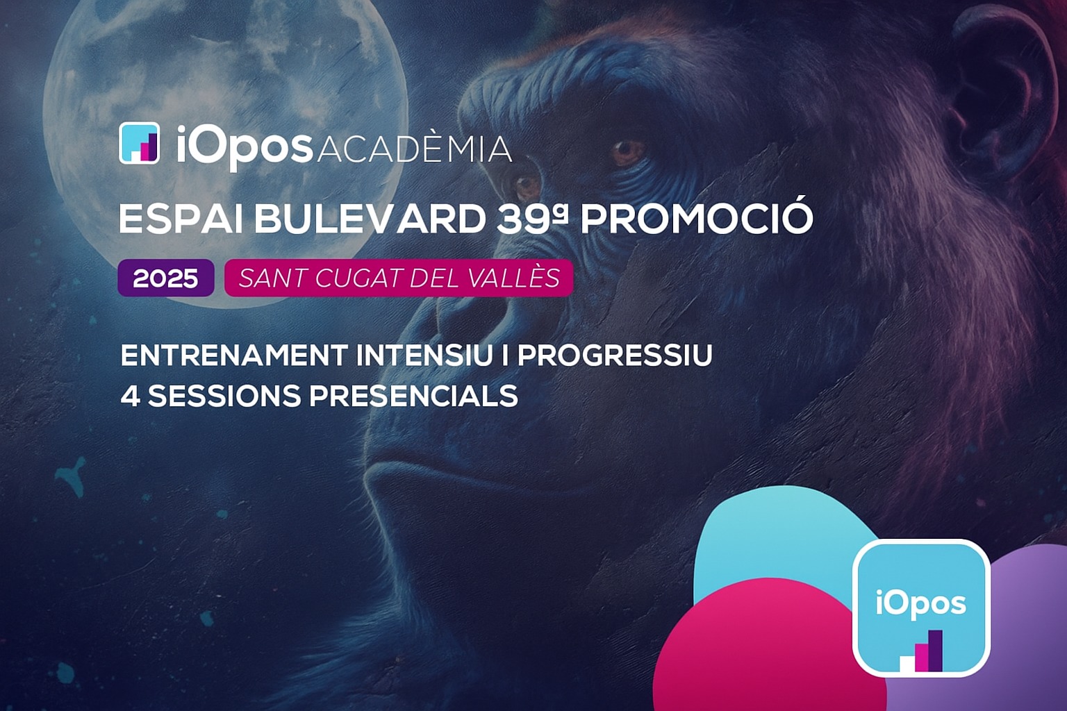 Campus Espai Bulevard 39a Promoció (2025/2026) [Grup 4: Diumenges de 13 a 19]