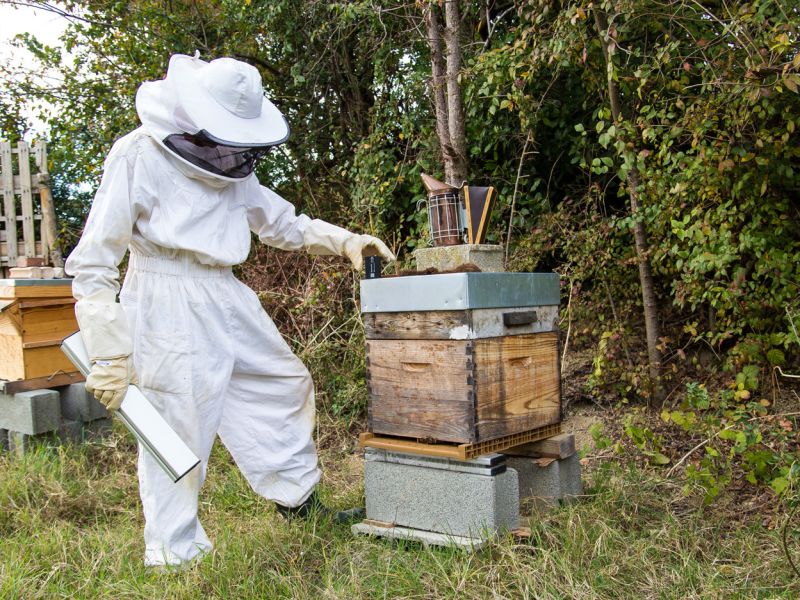 prod-airsaas/gbafhjg1pfomhdwfvmwo