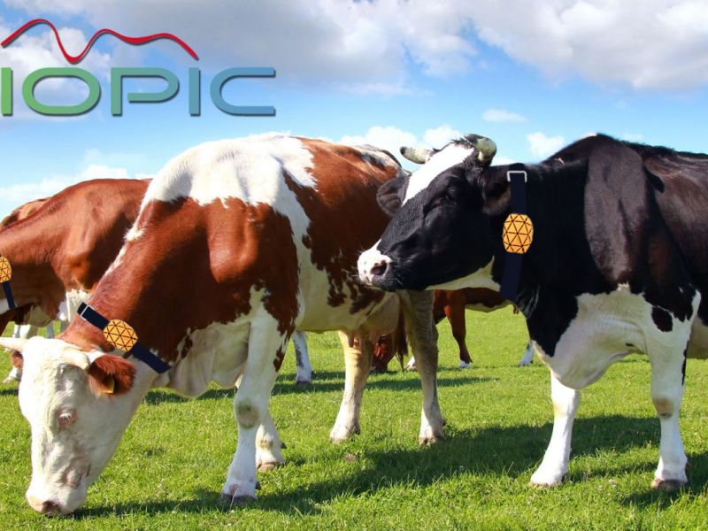 prod-airsaas/jvaxr06gsfqgg3bisk2w