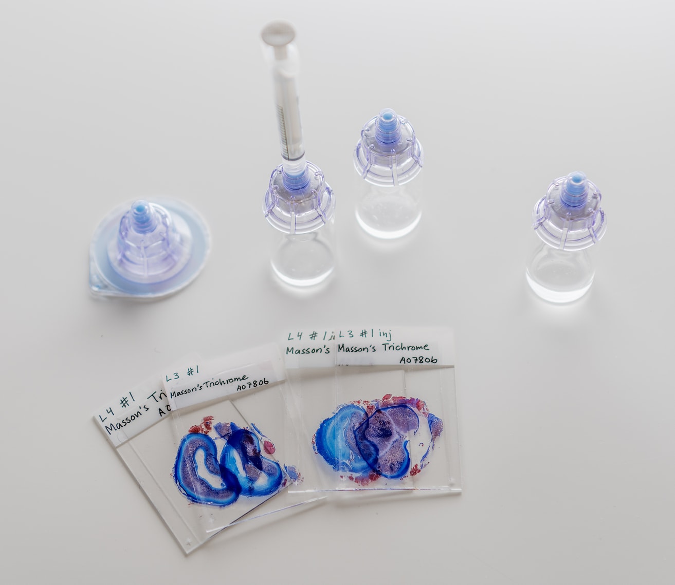 Stayble Therapeutics