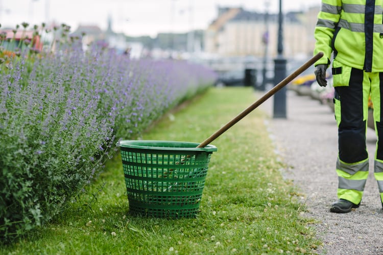 Green Landscaping