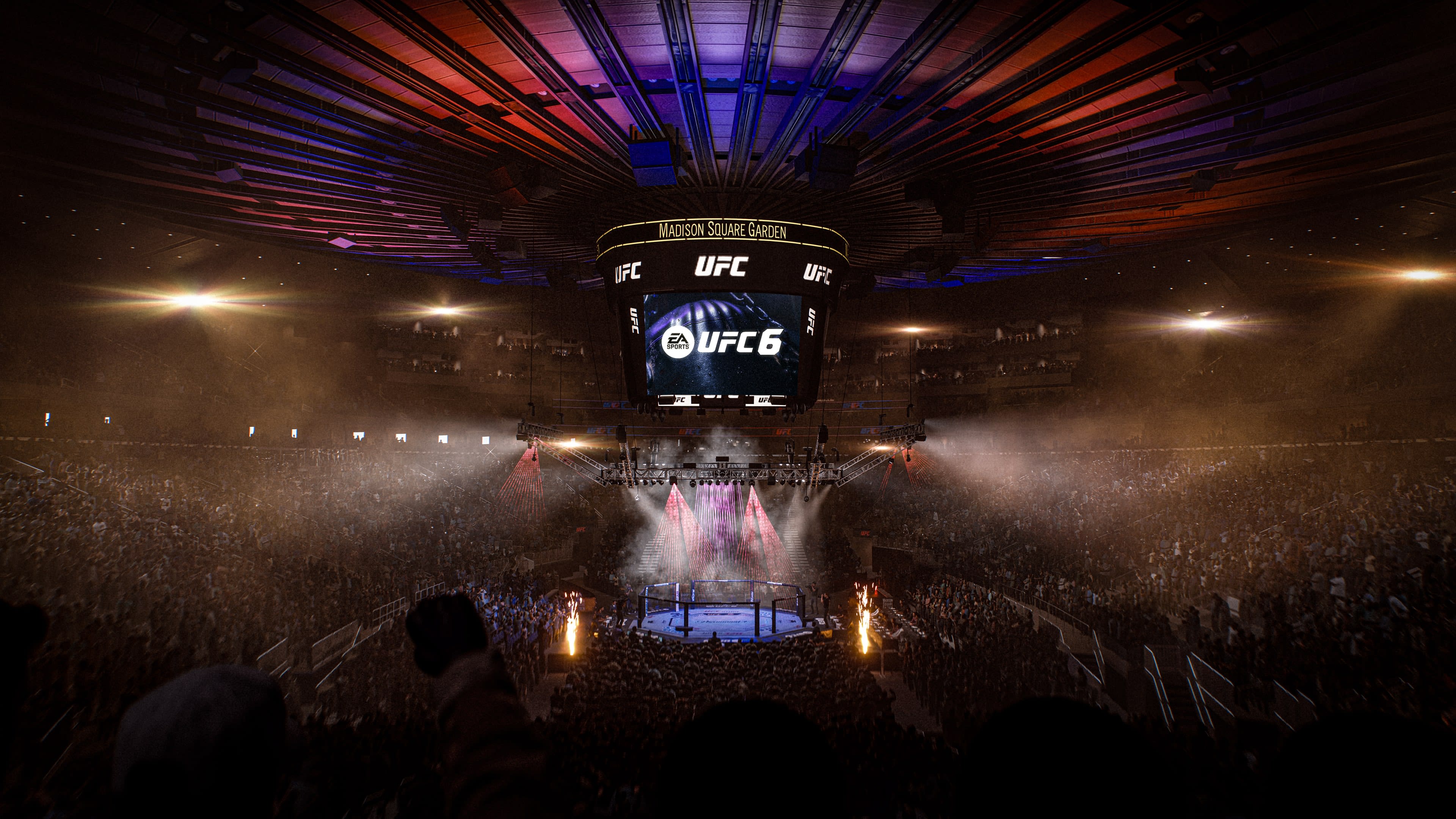 UFC 6 - screenshot 3