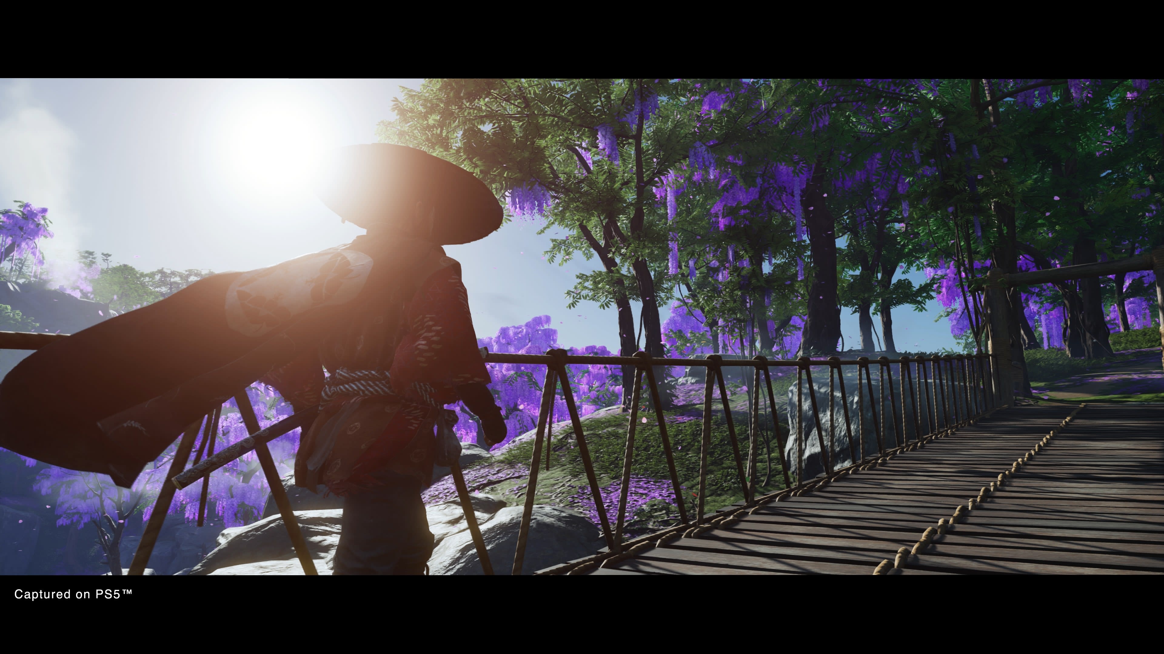 Ghost of Tsushima Director's Cut - screenshot 1