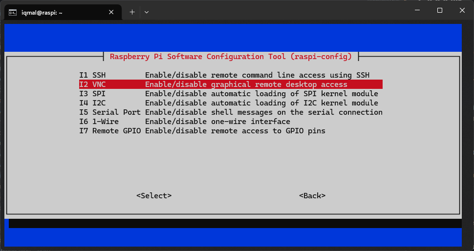 VNC raspi config