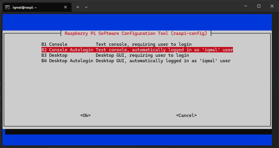 boot mode raspi config