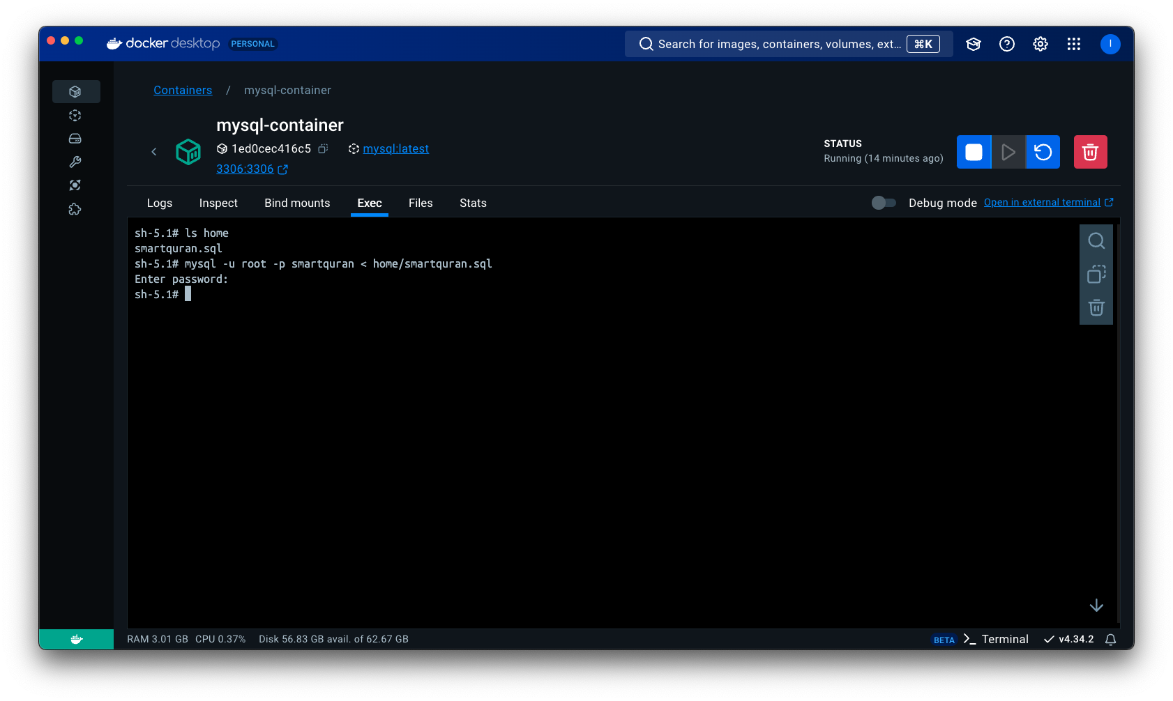 Docker Exec mysql