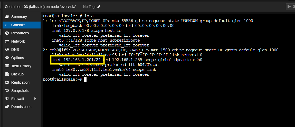 LXC container IP address output