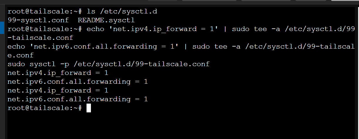 ipv4 forwarding