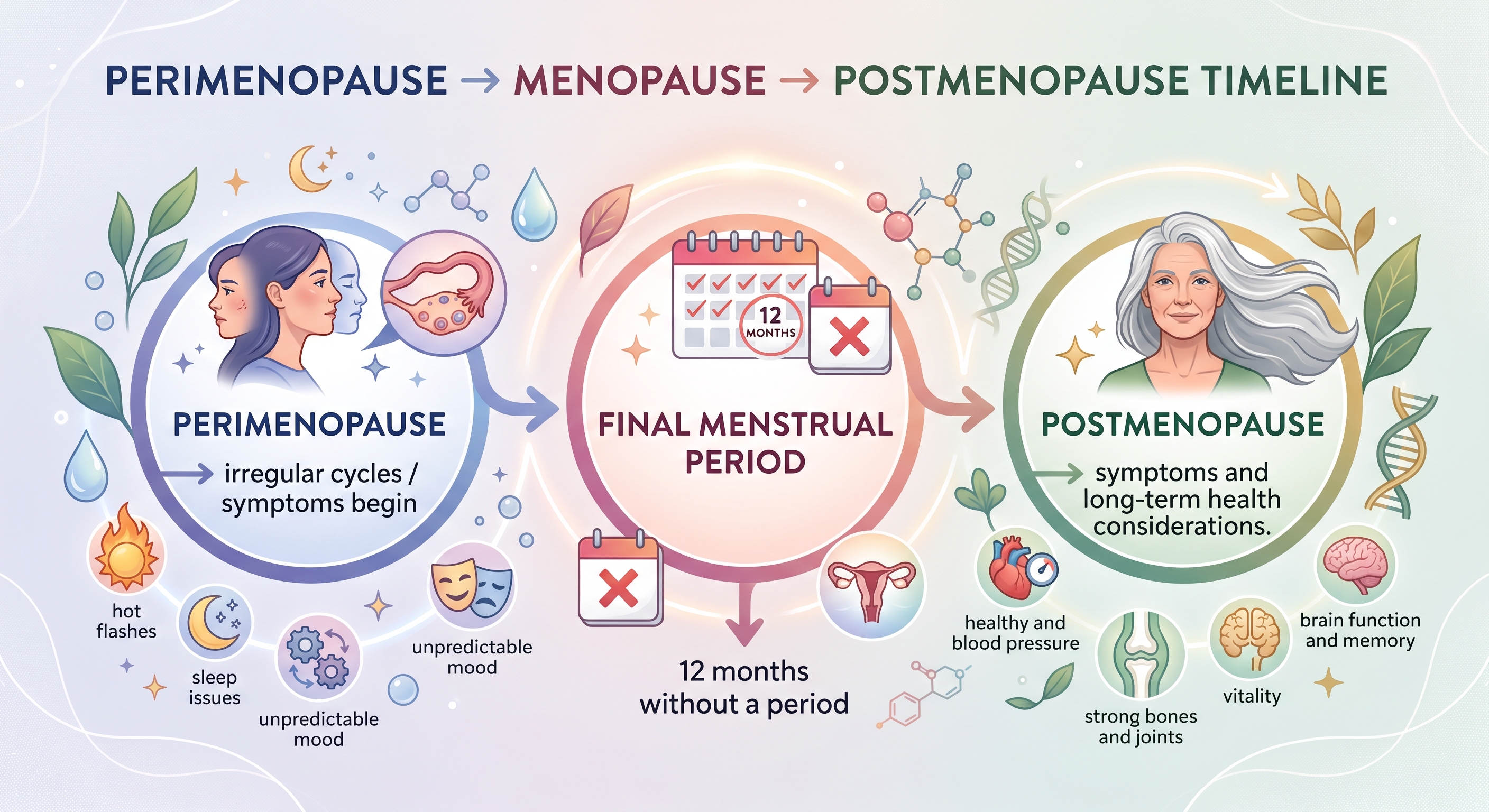 Perimenopause to menopause to postmenopause timeline