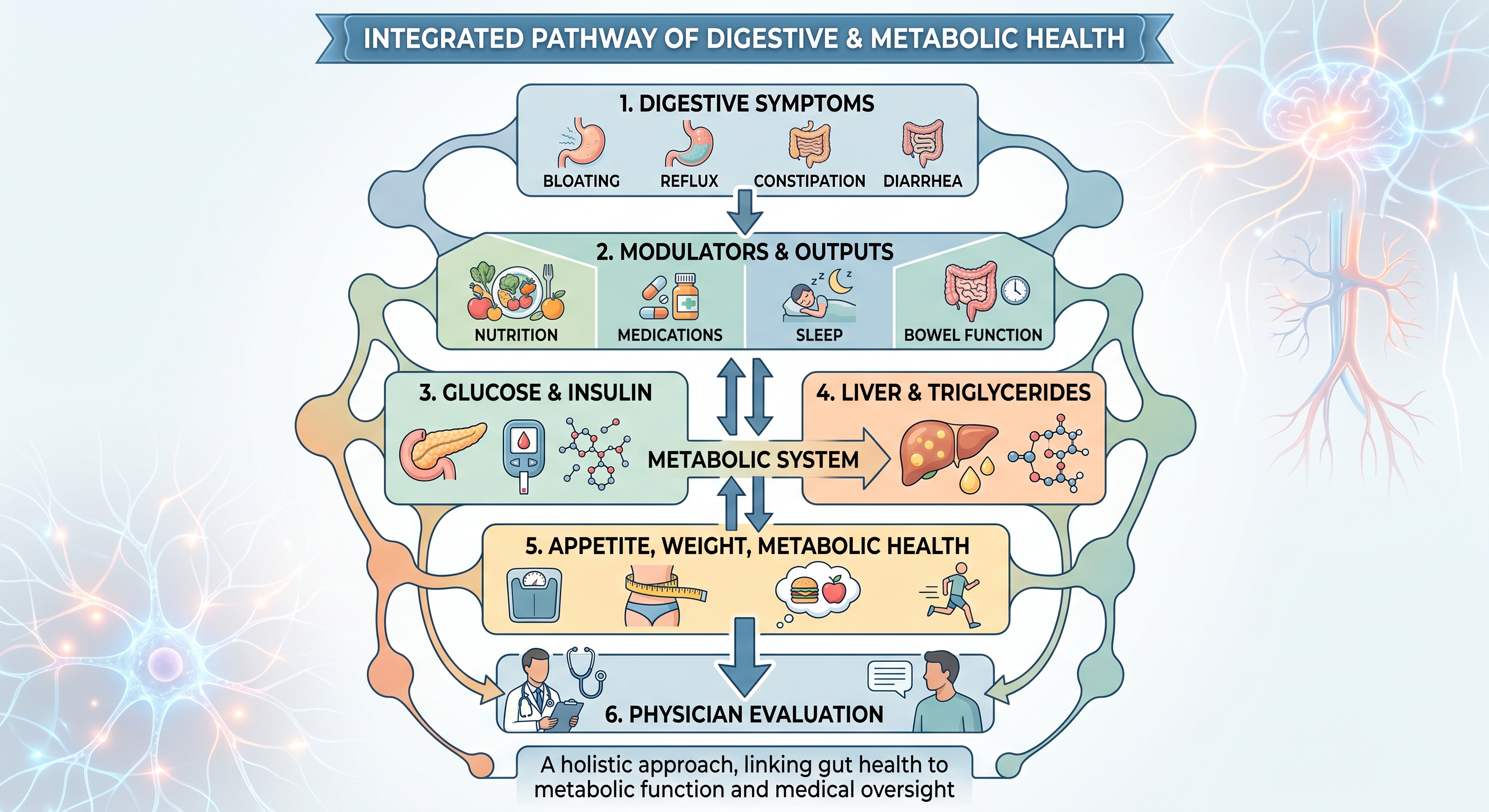 Gut and metabolic health infographic