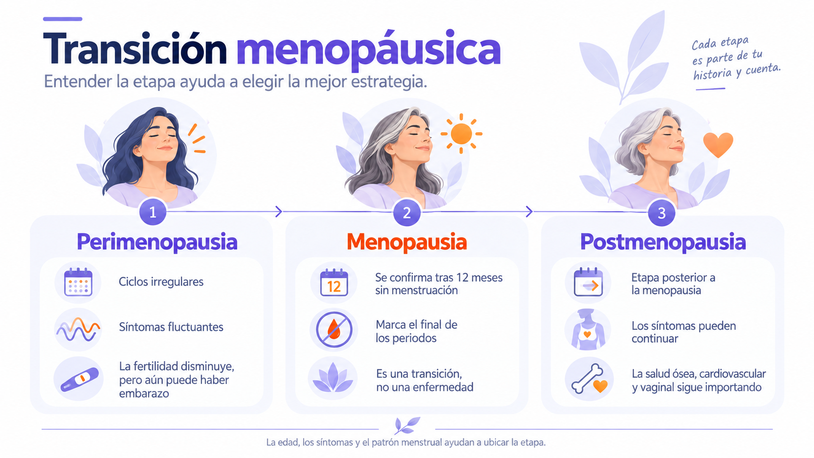 Guía visual en español de la transición menopáusica