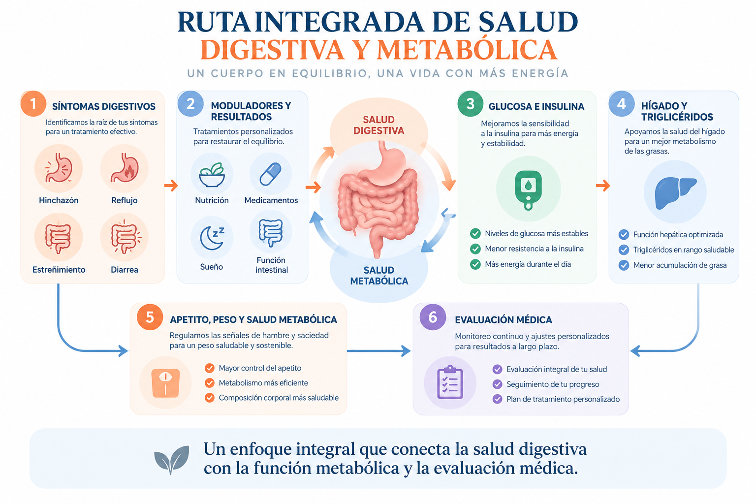 Ruta integrada digestiva y metabólica