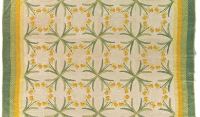 Dancing Daffodils, Mountain Mist pattern #24