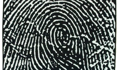 Fingerprint Series