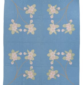 Apple Blossoms
