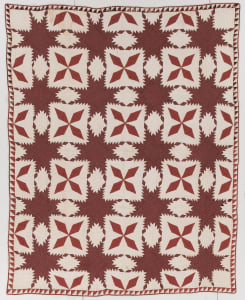 Feathered Star