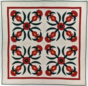 Coxcomb