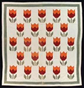 Oriental Tulip
