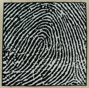 Fingerprint Series: #6 Detail Oriented