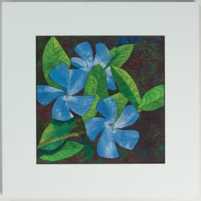Vinca