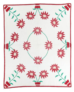 Poinsettia