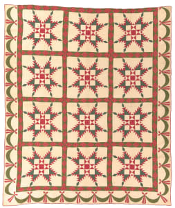 Feathered Star