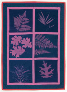 Magenta Forest