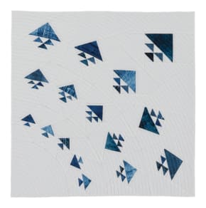 Modern Remake: Birds in the Air