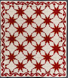 Feathered Star