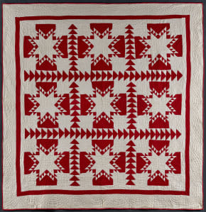 Feathered Star variation