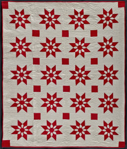 Missouri Daisy