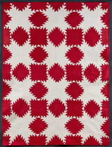Feathered Star