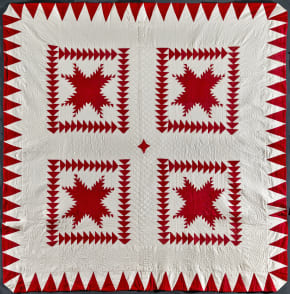 Feathered Star