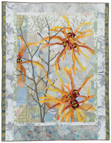 Witch Hazel-Jelena Ruth B. McDowell 