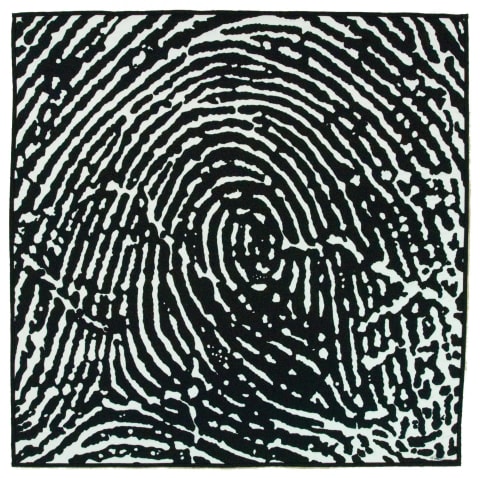 Fingerprint Series