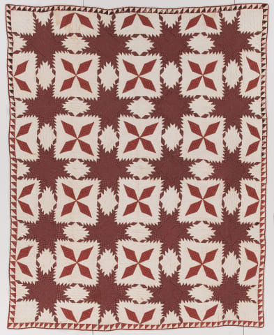 Feathered Star
