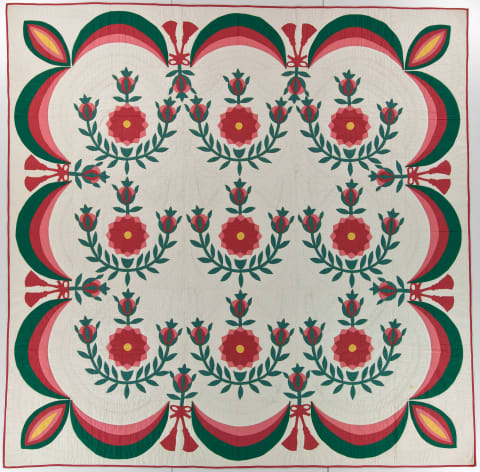 Prairie Rose