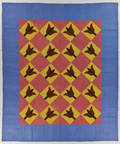 Tulip