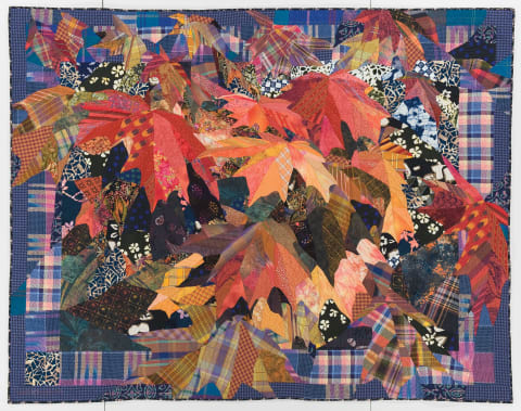 "Sunshine and Shadow: Maple Leaves"