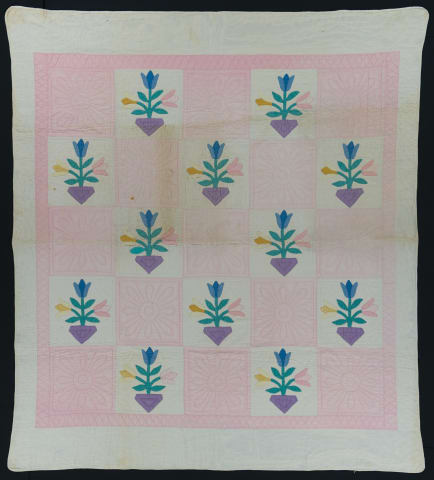 Tulip