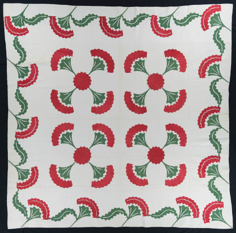Coxcomb