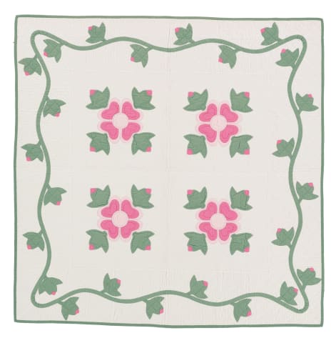 Ohio Rose