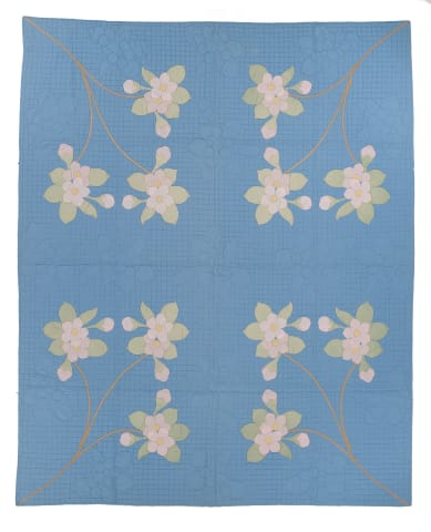 Apple Blossoms