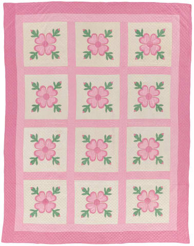 Ohio Rose