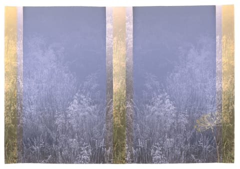 Grey Grasses IV